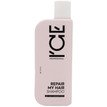 Profesjonalny szampon do włosów zniszczonych, wysokoporowatych, Ice Professional, 250 ml